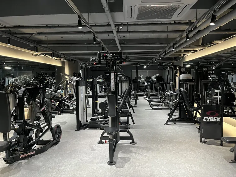 비앤핏 플레티넘 헬스 회원권 — 프리미엄 머신존 전경