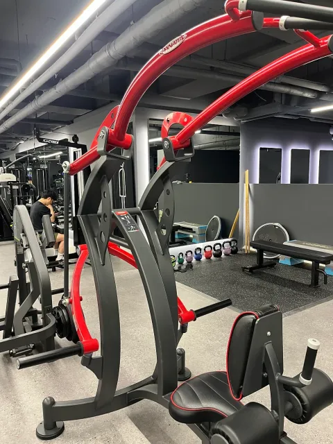 파나타 하이로우 플레이트 실물